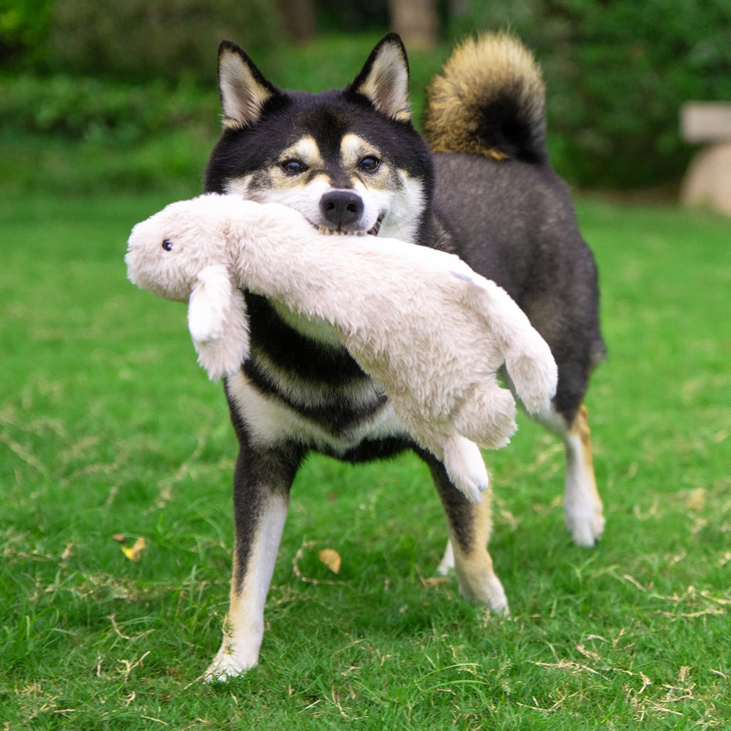 Squeaky Dog Toys with Soft Durable Fabric for Small, Medium and Large Pets Interactive Toy for Indoor Play, Supports Active Biting and Play - Hare, Medium