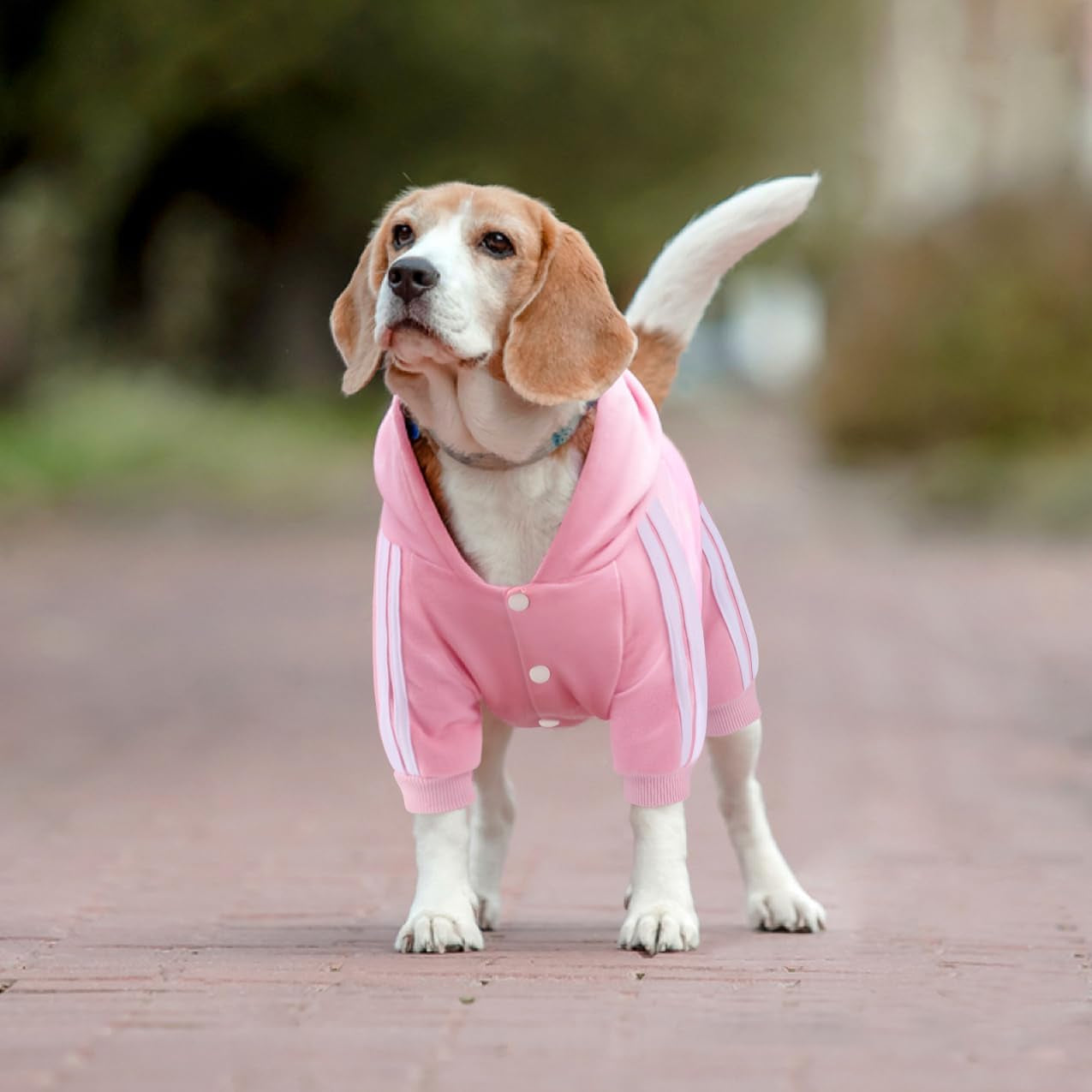 Dog Hoodie & Sweatshirt - Soft & Warm Dog Outfit Pullover for Small, Medium & Large Dogs & Cats (Pink, Small)