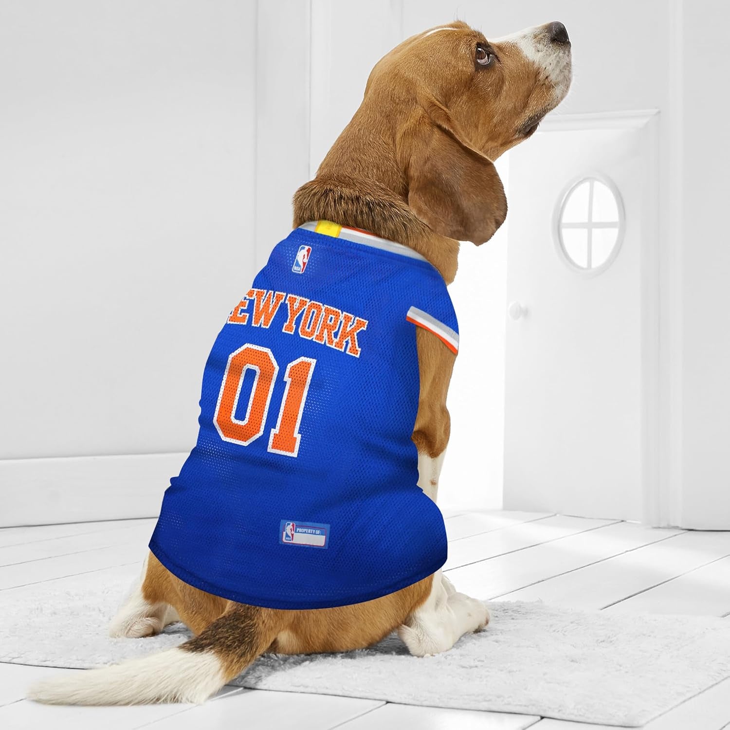 NBA NEW YORK KNICKS DOG Jersey, X-Small - Tank Top Basketball Pet Jersey