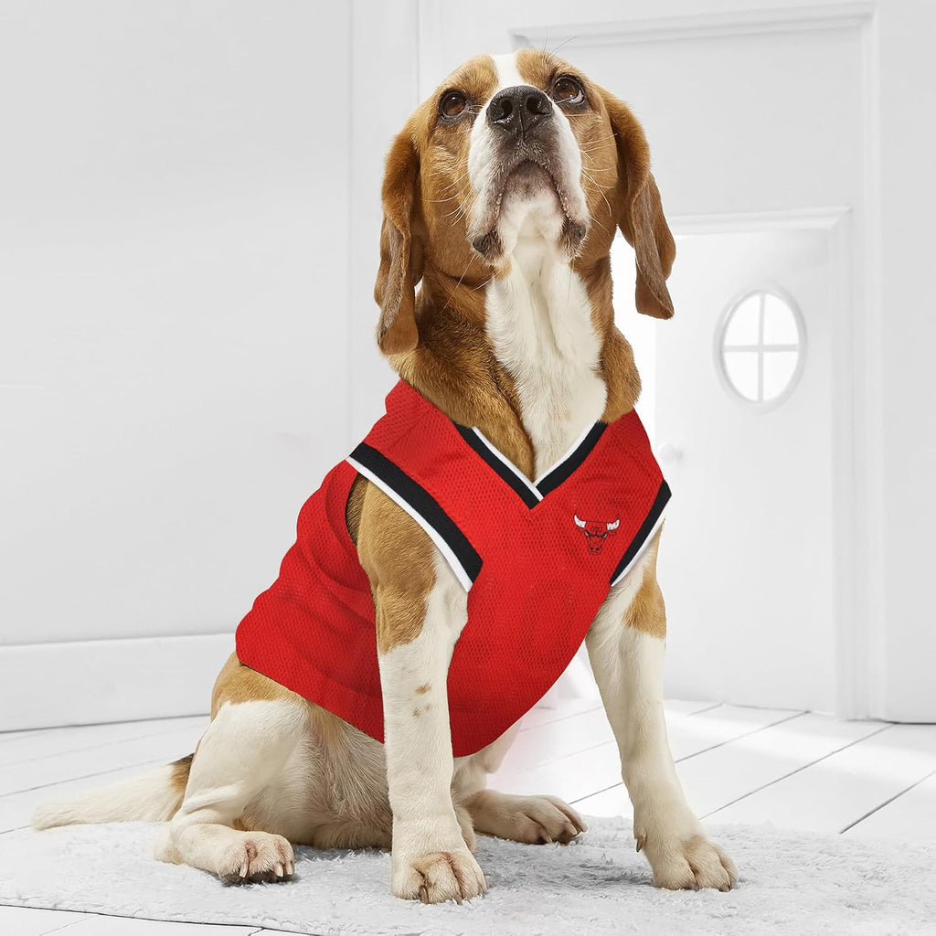 NBA CHICAGO BULLS DOG Jersey, X-Small - Tank Top Basketball Pet Jersey