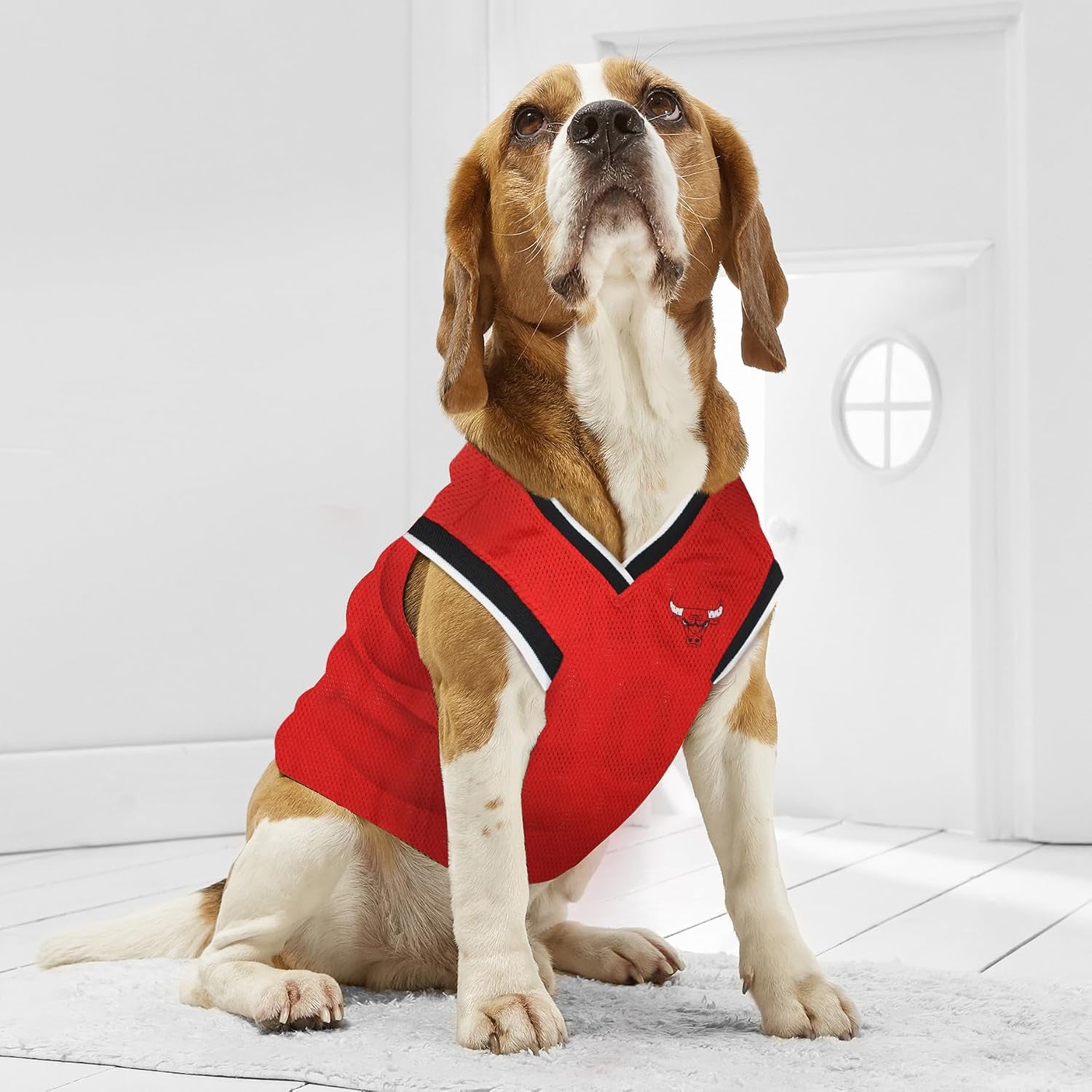 NBA CHICAGO BULLS DOG Jersey, X-Small - Tank Top Basketball Pet Jersey