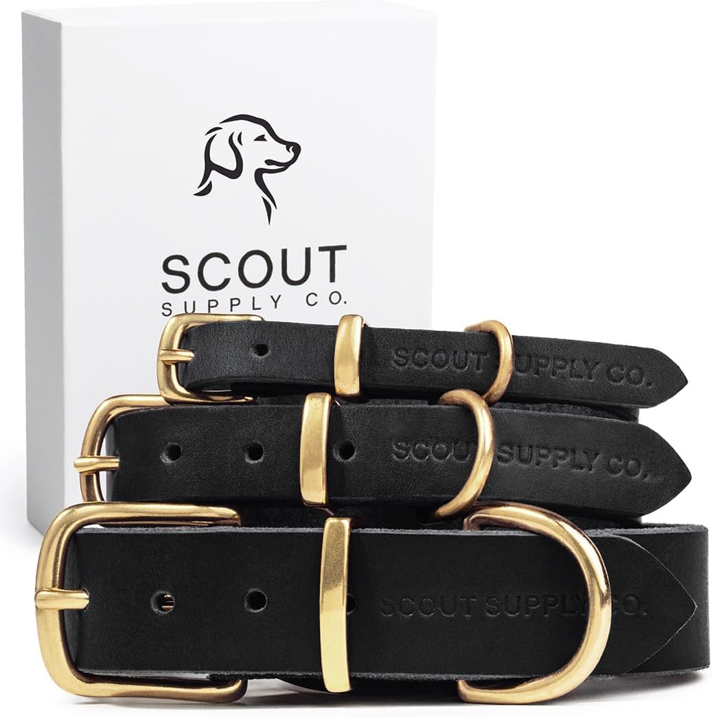 Scout Supply Classic Leather Dog Collar | Heavy Duty Thick Full Grain Leather | Waterproof & Rust-Proof Brass Hardware | Dark Brown (S: 0.8" Wide for 10.5"-13.5" Neck)