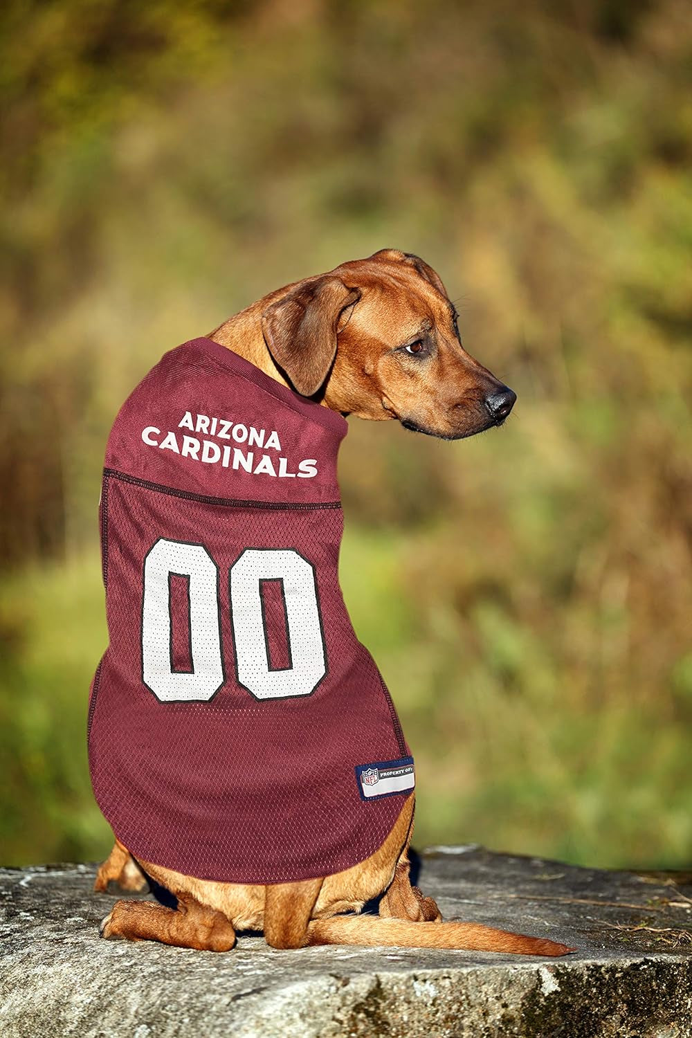 NFL Pets NFL Jerseys