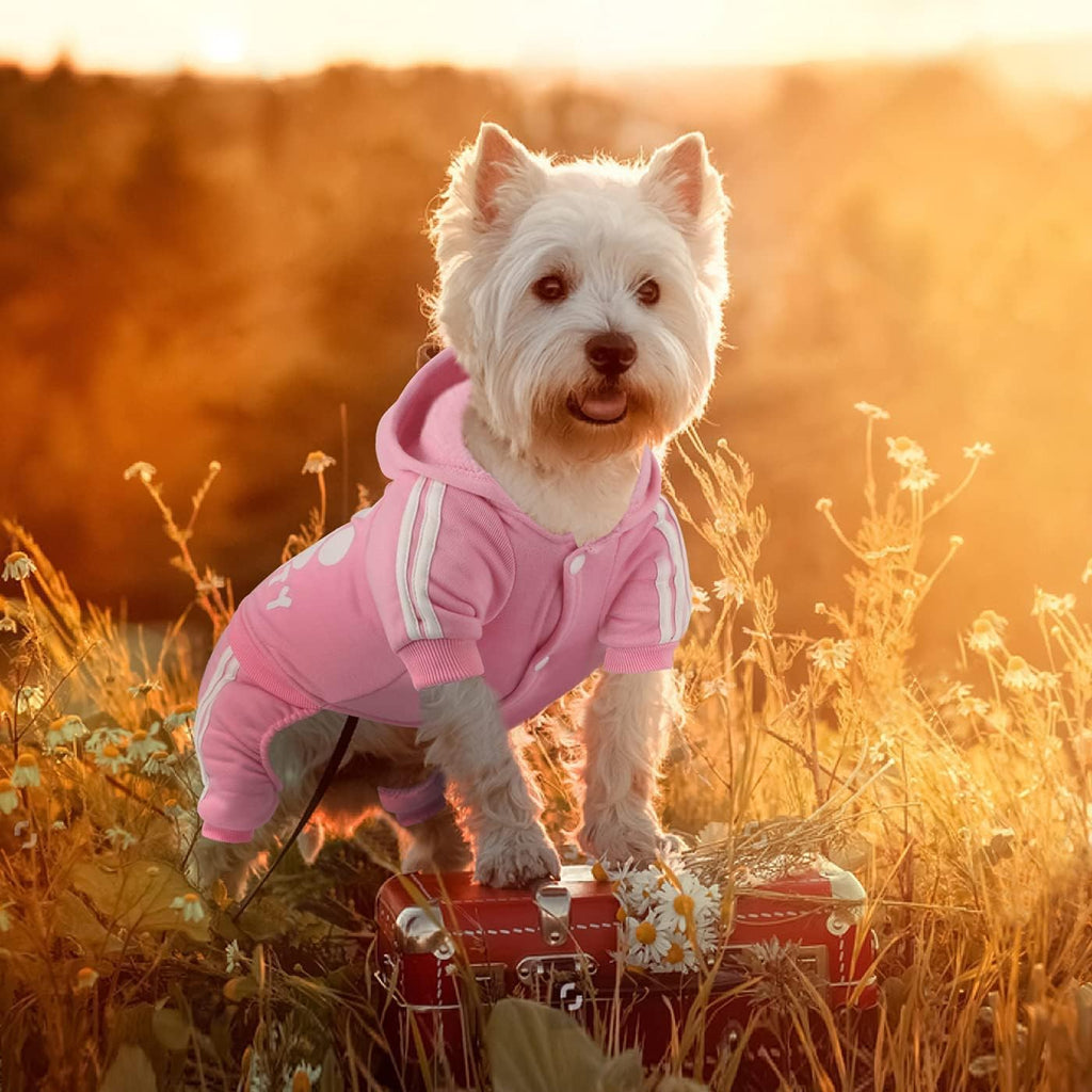 Dog Hoodie & Sweatshirt - Soft & Warm Dog Outfit Pullover for Small, Medium & Large Dogs & Cats (Pink, Small)