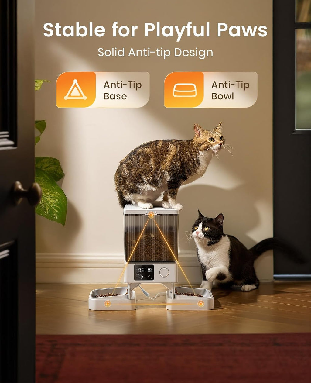 Automatic Cat Feeder for 2 Cats, 20 Cups/5L Automatic Cat Food Dispenser for Small Pets Indoor, Timed Cat Feeder for Dry Food(White)