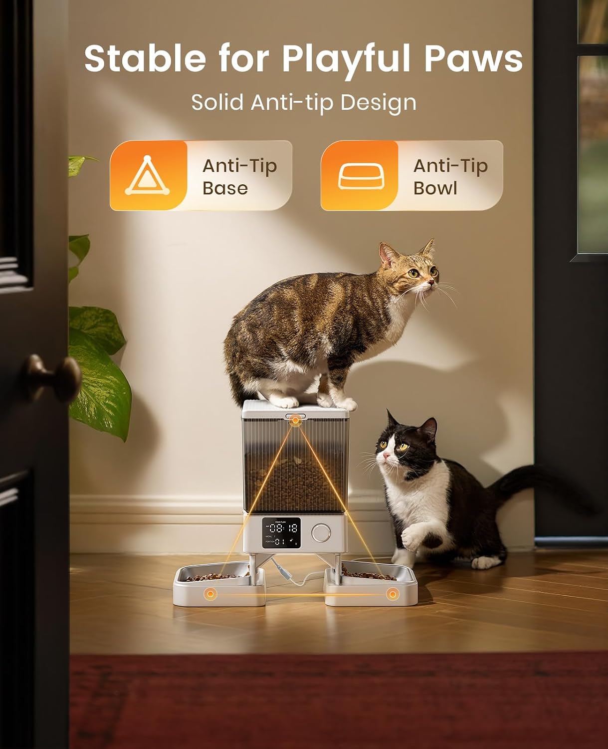 Automatic Cat Feeder for 2 Cats, 20 Cups/5L Automatic Cat Food Dispenser for Small Pets Indoor, Timed Cat Feeder for Dry Food(White)
