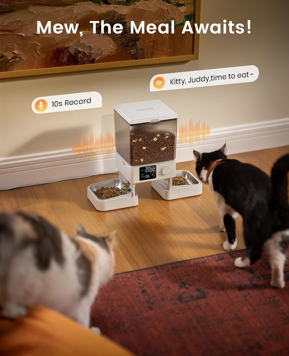 Automatic Cat Feeder for 2 Cats, 20 Cups/5L Automatic Cat Food Dispenser for Small Pets Indoor, Timed Cat Feeder for Dry Food(White)