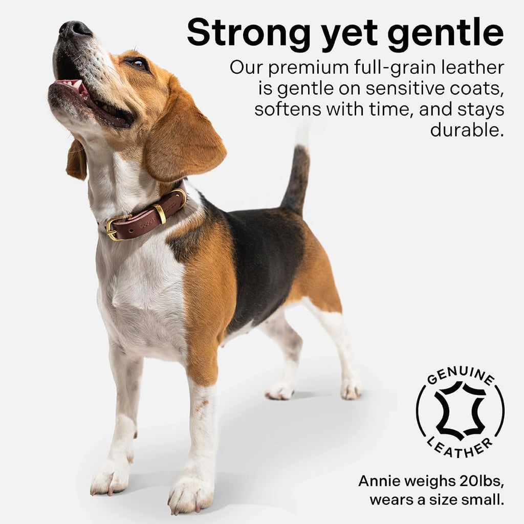 Scout Supply Classic Leather Dog Collar | Heavy Duty Thick Full Grain Leather | Waterproof & Rust-Proof Brass Hardware | Dark Brown (S: 0.8" Wide for 10.5"-13.5" Neck)