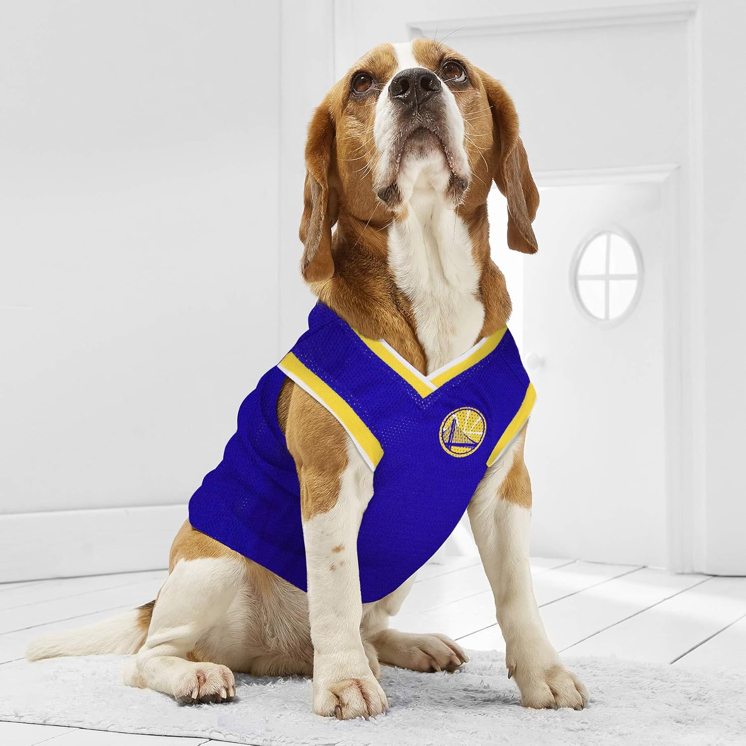 NBA GOLDEN STATE WARRIORS DOG Jersey, X-Small - Tank Top Basketball Pet Jersey