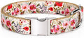Pet Supplies, (Summer Blooms) Cat Collar, Dog Collar, Cat Leash, Dog Leash, Small Dog Collar, Medium Dog Collar, Large Dog Collar (Pet Collar, M)