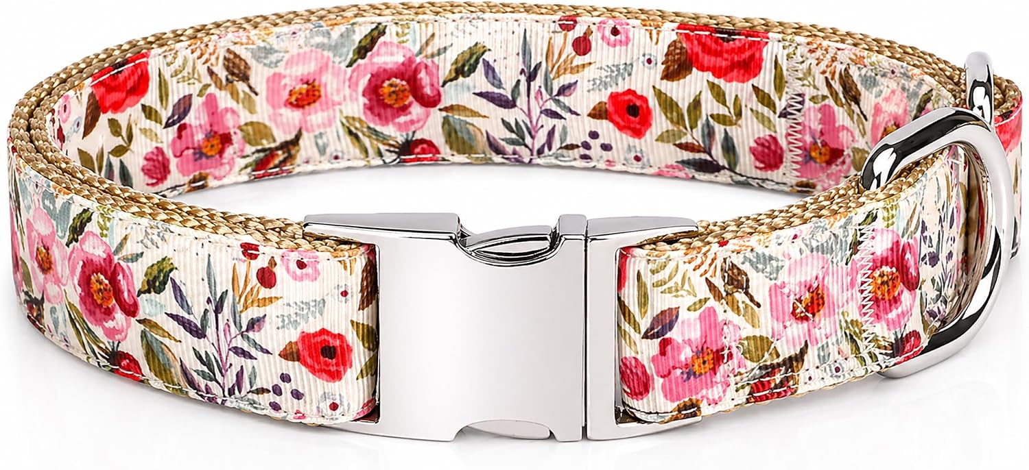 Pet Supplies, (Summer Blooms) Cat Collar, Dog Collar, Cat Leash, Dog Leash, Small Dog Collar, Medium Dog Collar, Large Dog Collar (Pet Collar, M)