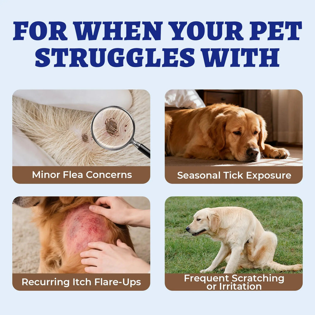 Wellix Flea & Tick Support Chews for Dogs - Pet Skin & Coat Care Supplement, Tiktok Shop Spring Glowup Item