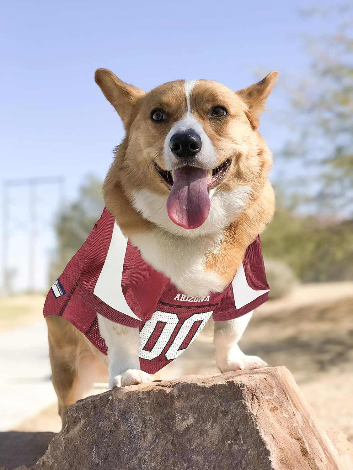 NFL Pets NFL Jerseys