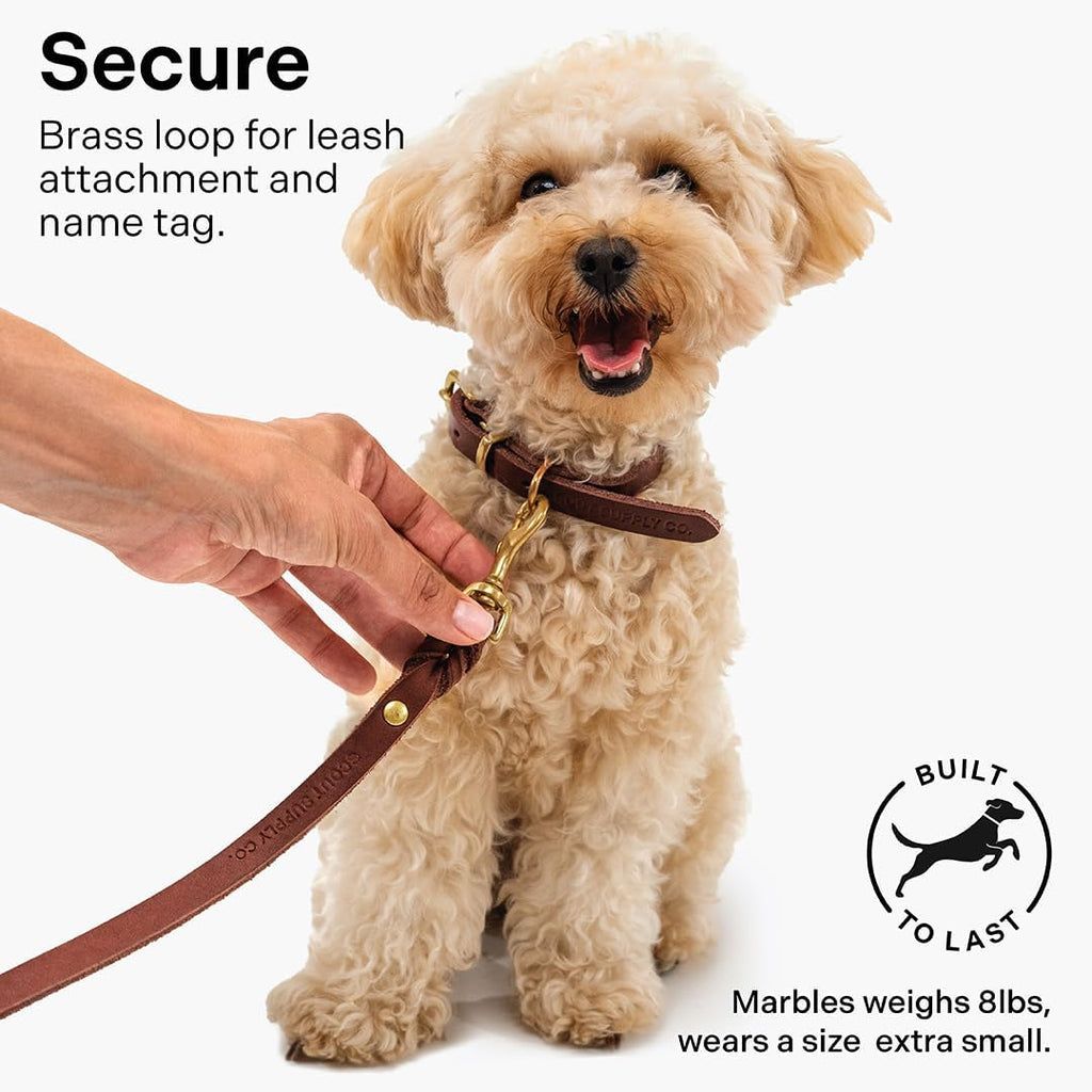 Scout Supply Classic Leather Dog Collar | Heavy Duty Thick Full Grain Leather | Waterproof & Rust-Proof Brass Hardware | Dark Brown (S: 0.8" Wide for 10.5"-13.5" Neck)