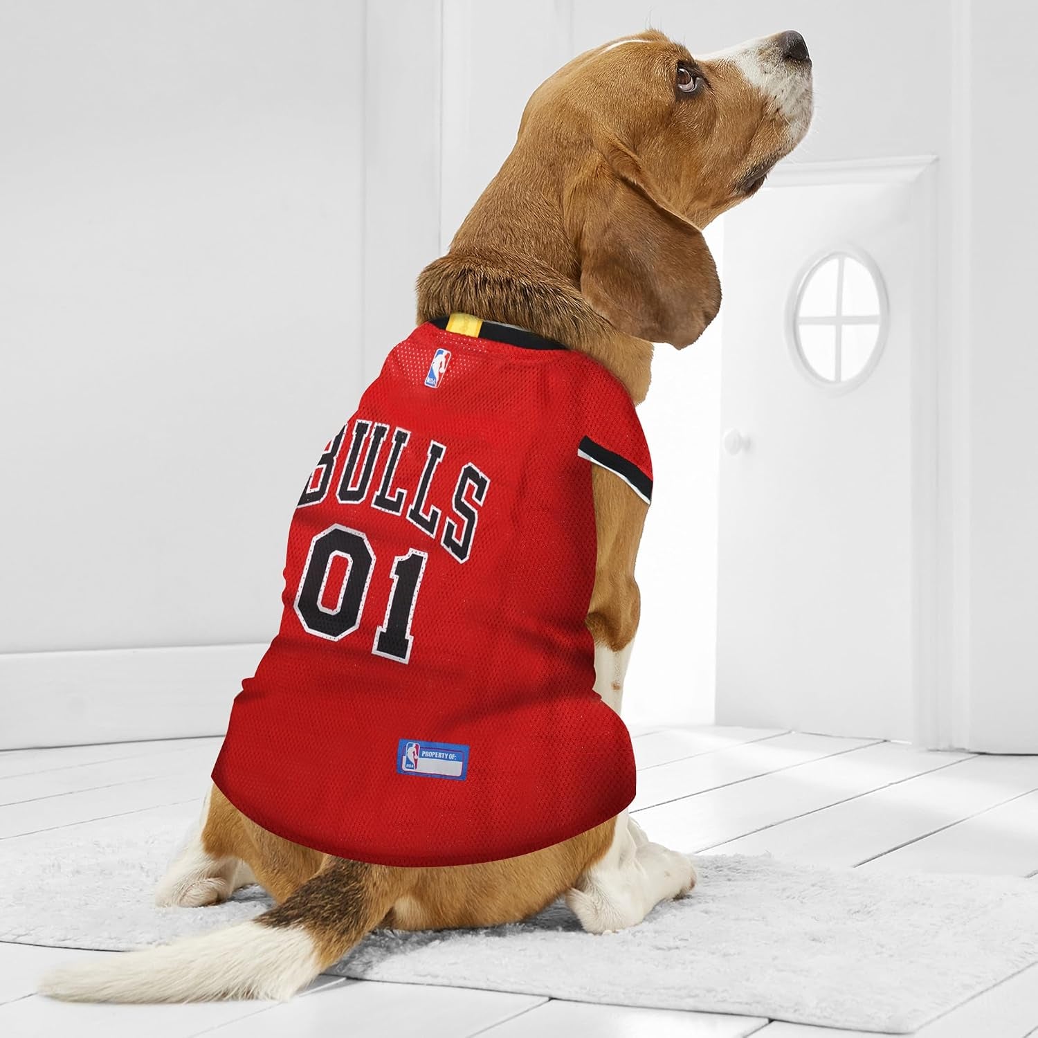 NBA CHICAGO BULLS DOG Jersey, X-Small - Tank Top Basketball Pet Jersey