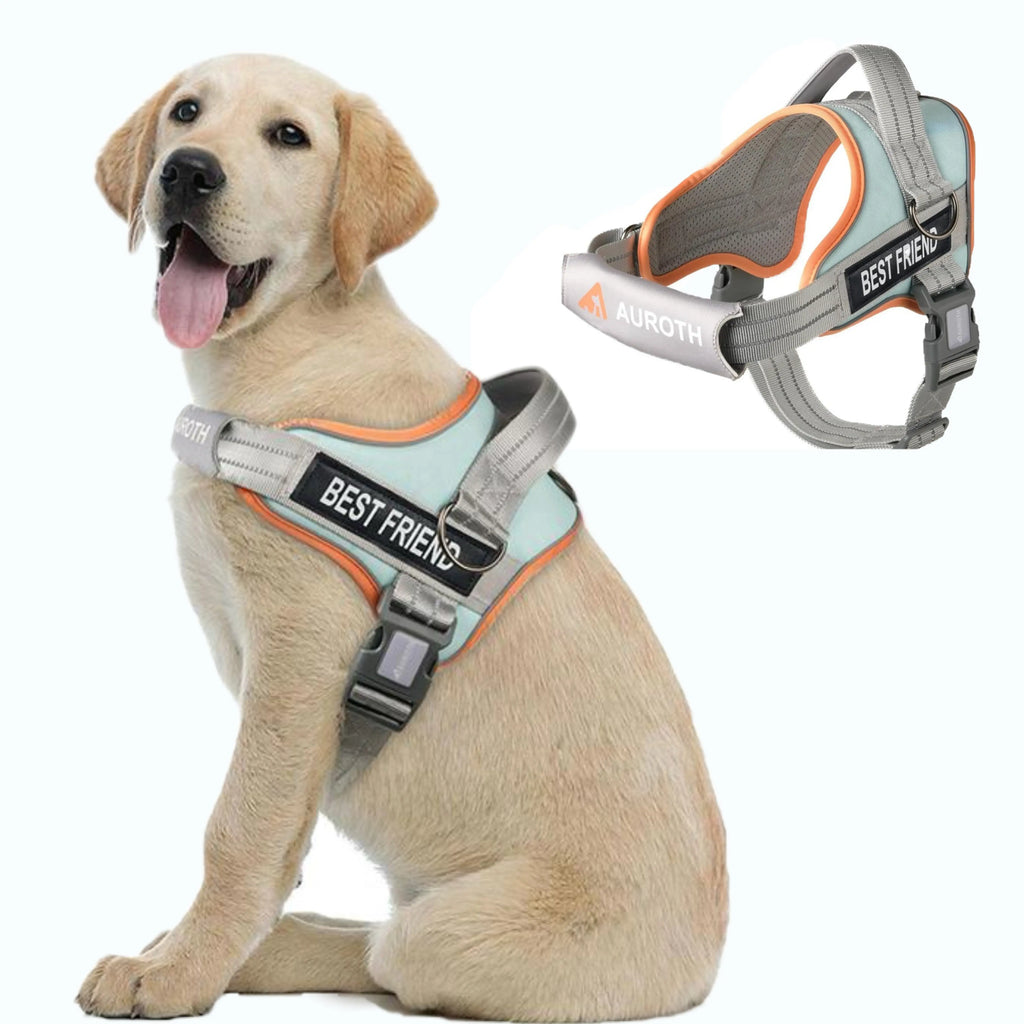 【#Dealsforyoudays】No Pull Dog Harness Straps, Safety Harnesses for Dogs – Soft Padded Service Vest, Reflective, Adjustable, Easy on & off – Ideal for Walking & Training, Fits Small, Medium & Large Dogs