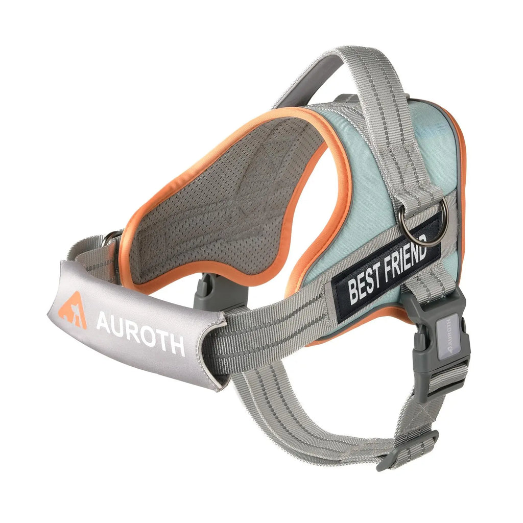 【#Dealsforyoudays】No Pull Dog Harness Straps, Safety Harnesses for Dogs – Soft Padded Service Vest, Reflective, Adjustable, Easy on & off – Ideal for Walking & Training, Fits Small, Medium & Large Dogs